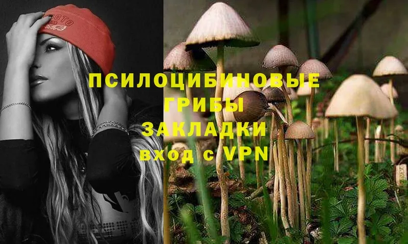 даркнет сайт  Жуковка  МЕГА   Галлюциногенные грибы Cubensis 